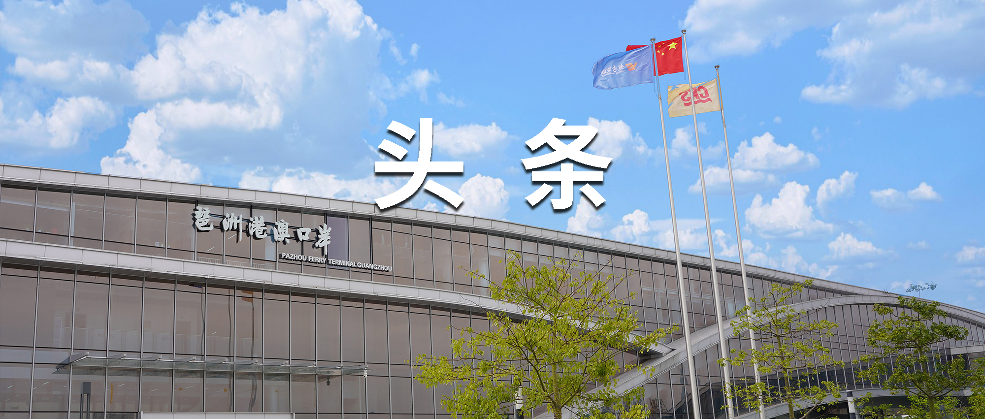 琶洲封面