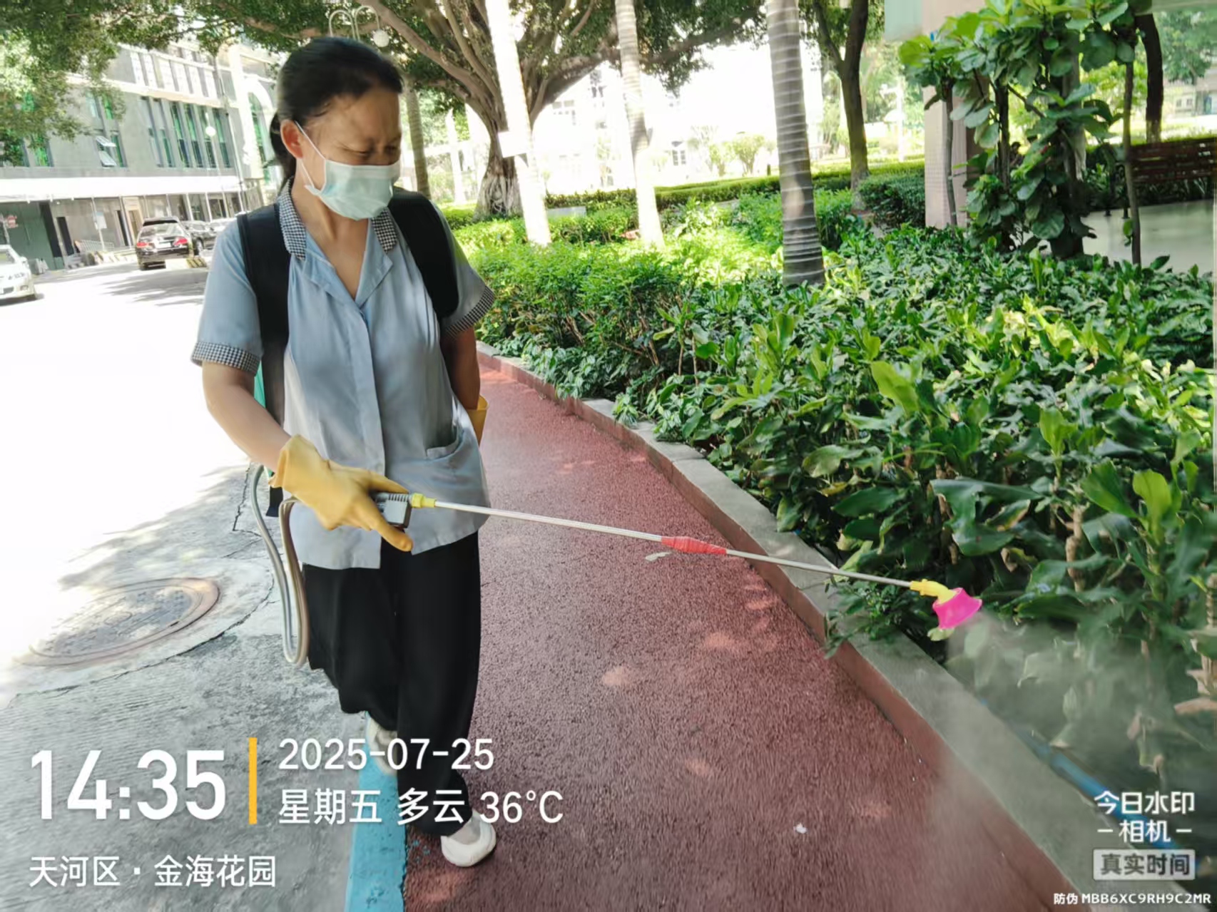 微信图片_20250728095727